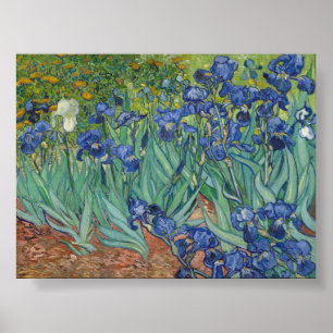 Poster Irises par Van Gogh