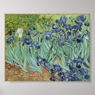 Poster Irises par Van Gogh