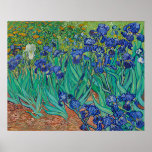 Poster Irises par Vincent Van Gogh