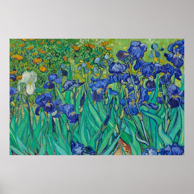 Poster Irises par Vincent van Gogh (Devant)
