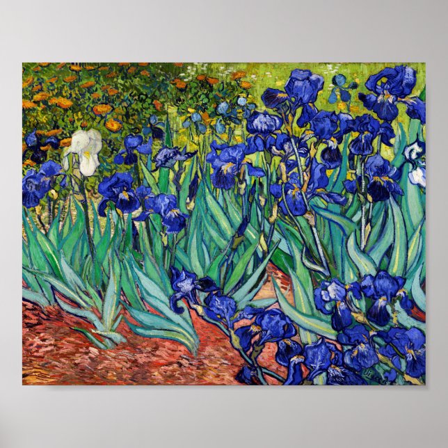 Poster Irises par Vincent van Gogh (Devant)