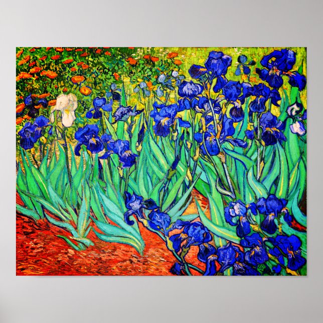 Poster Irises par Vincent Van Gogh (Devant)
