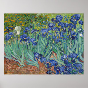 Poster Irises par Vincent Van Gogh