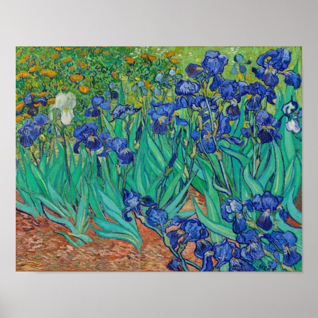 Poster Irises par Vincent Van Gogh (Devant)