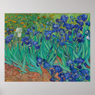 Poster Irises par Vincent Van Gogh