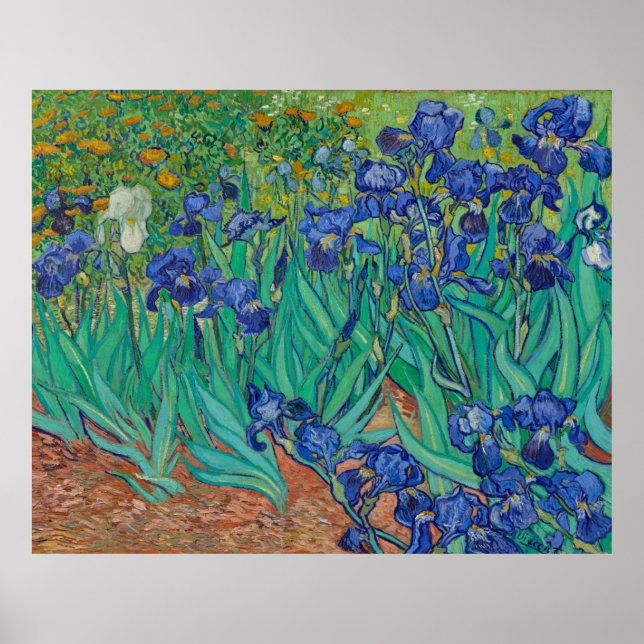 Poster Irises par Vincent Van Gogh (Devant)