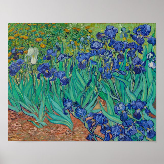 Poster Irises par Vincent Van Gogh (Devant)