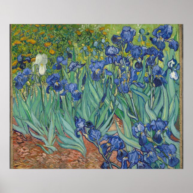 Poster Irises par Vincent Van Gogh (Devant)