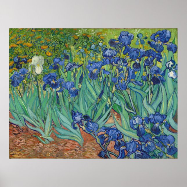 Poster Irises par Vincent Van Gogh 1889 (Devant)