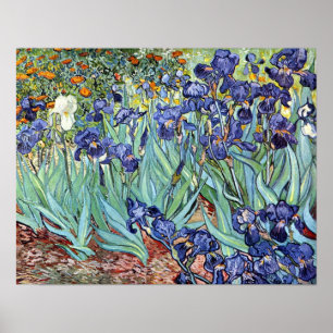 Poster Irises par Vincent van Gogh 1898