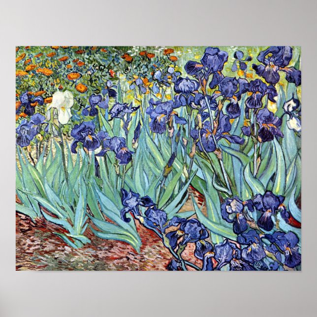Poster Irises par Vincent van Gogh 1898 (Devant)