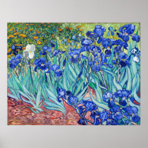 Poster Irises  Vincent van Gogh