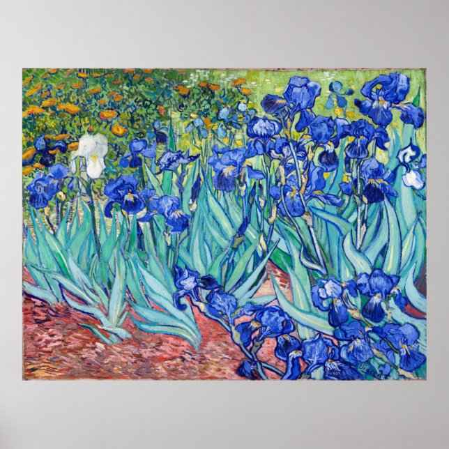 Poster Irises Vincent van Gogh (Devant)