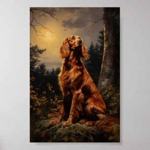 Poster Irish Setter la nuit