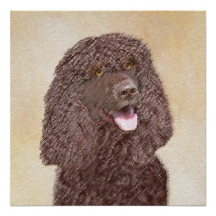 Poster Irish Water Spaniel Peinture - Original Dog Art