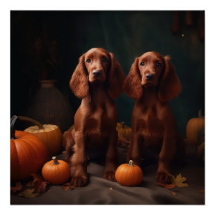 Poster Irlandais Red Setter Chiot Automne Citrouille de p