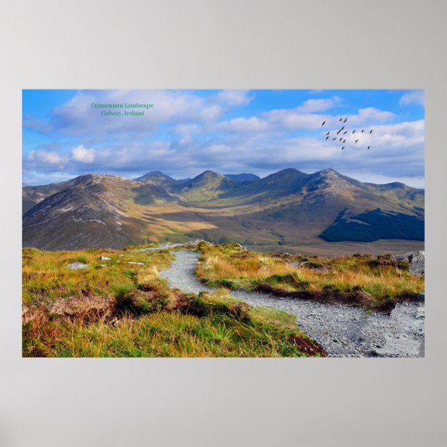 Poster Irlande (Devant)