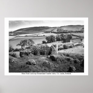 Poster Irlande - Co. Laois, Dunamase Castle