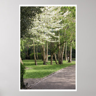 Poster Irlande du printemps