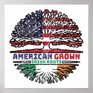 Poster Irlande Irlande États-Unis États-Unis Arbre des Ét