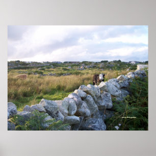 Poster Irlande rurale