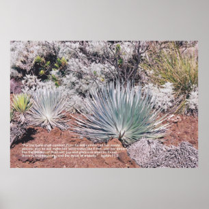 Poster Isaïe 51