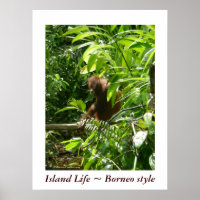 Island Life ~ Style Borneo