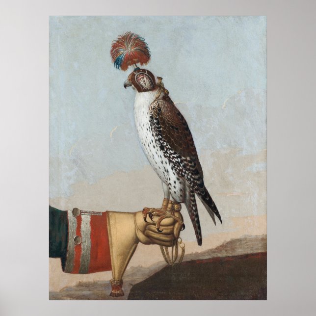 Poster Islandic Gyrfalcon (Devant)