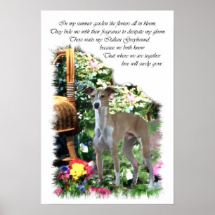 Poster Italian Greyhound Art Print