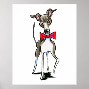 Poster Italie Greyhound Antonio