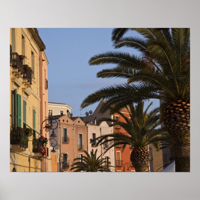 Poster Italie, Sardaigne, Cagliari. Bâtiments et palmiers (Devant)