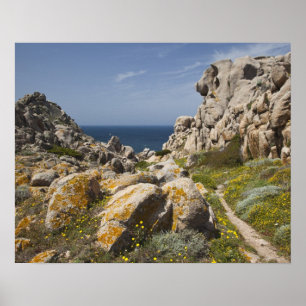 Poster Italie, Sardaigne, Santa Teresa Gallura. Capo 2