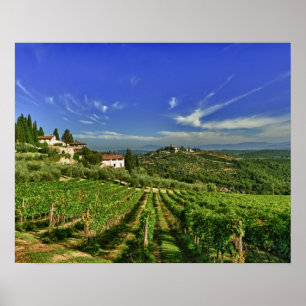 Poster Italie, Toscane, Greve. Les vignobles du Castello