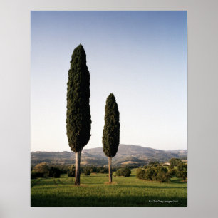 Poster Italie, Toscane, Val d'Orcia