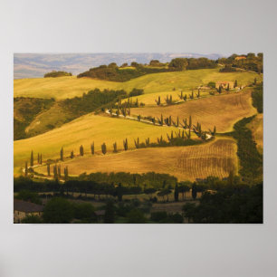 Poster Italie, Toscane, ZigZag Road en Toscane.