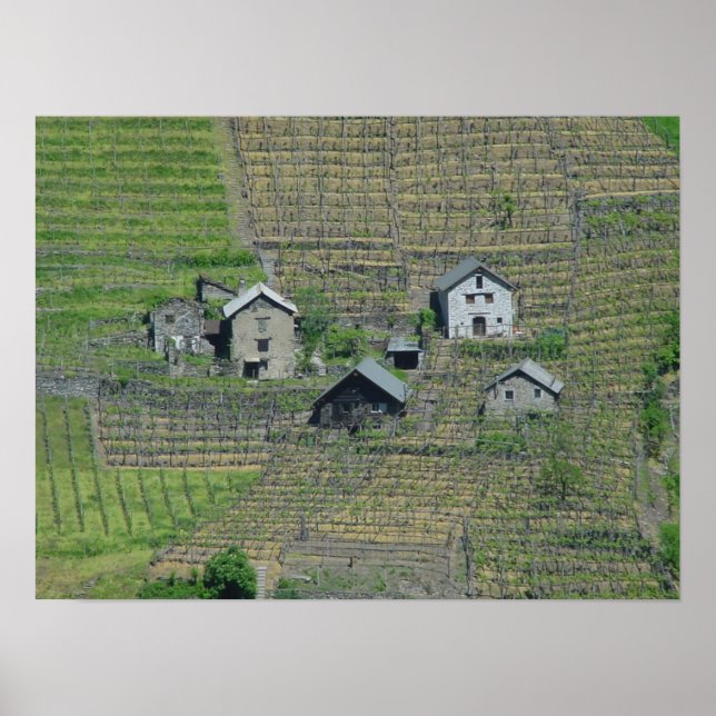 Poster Italie Vins (Devant)