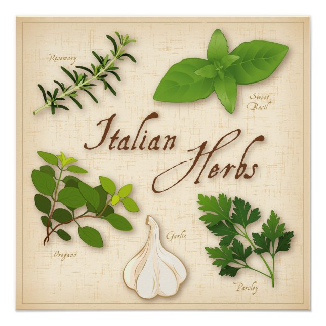 Poster italien Herbes (Devant)