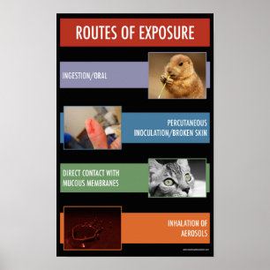 Poster Itinéraire d'affiche informationnelle de sécurité