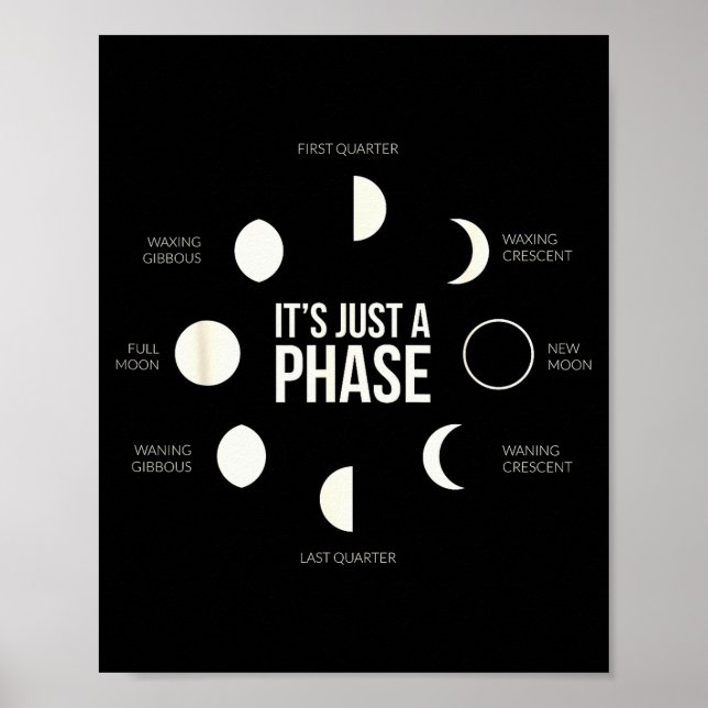Poster It's Just A Phase Lunar Phases New Moon Earth Hemi (Devant)