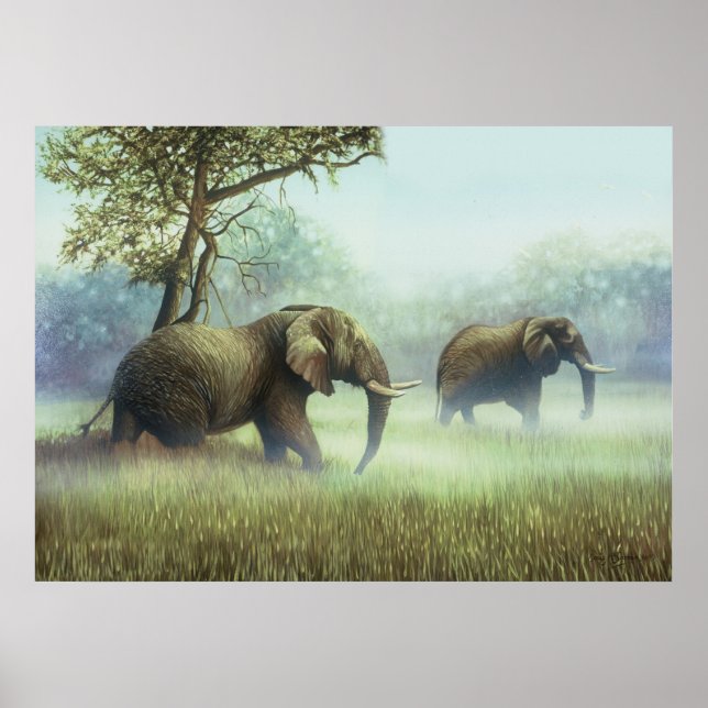 Poster Ivoire Mist (Devant)