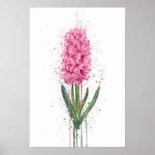 Poster Jacinthe