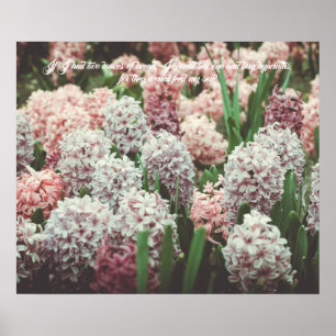 Poster Jacinthe rose et violette dans le jardin printanie