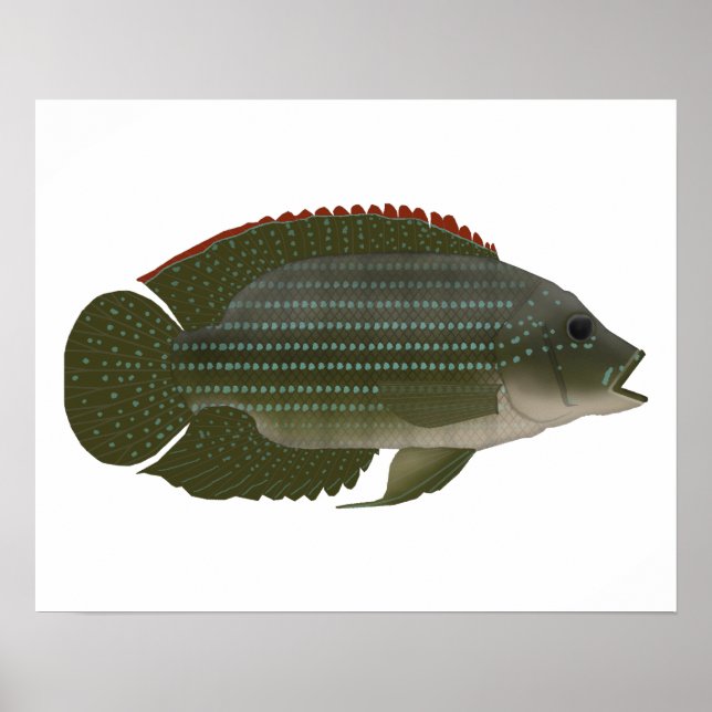 Poster Jack Dempsey (Devant)