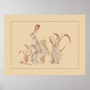 Poster Jack Rabbit et ses amis