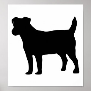 Poster Jack russel