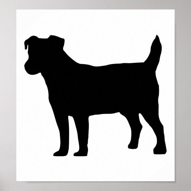 Poster Jack russel (Devant)