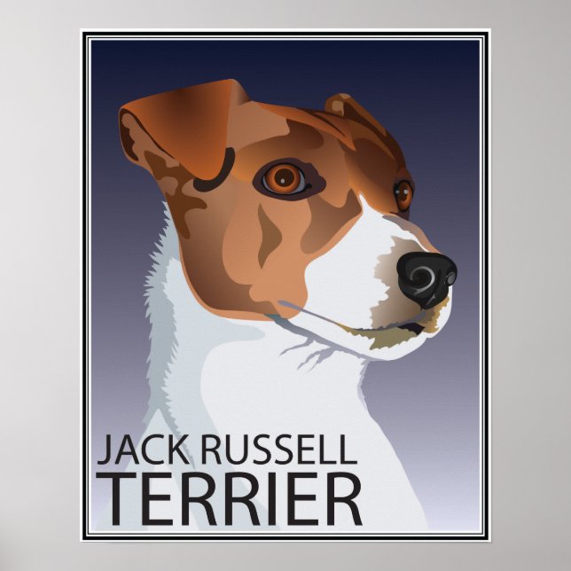 Poster Jack Russell Terrier (Devant)