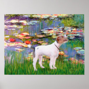 Poster Jack Russell (Terrier de Parsons) - Lys 2