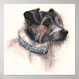 Poster Jack Russell Terrier Peint en aquarelle