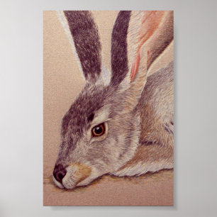 Poster Jacklapin